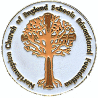 Lapel Badge