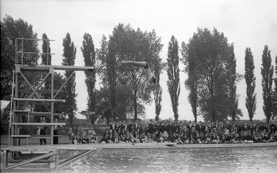 Gala 67 05