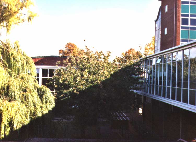 Sch9
