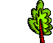 Wind