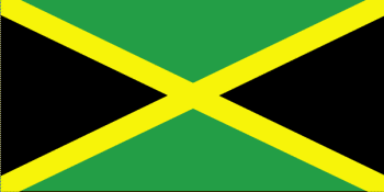 Jm Lgflag