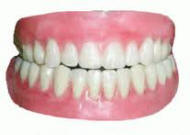 Teeth